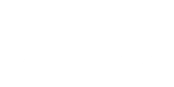 Başkent Anadolu İnşaat logosu