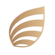 Defne İnşaat A.Ş. logosu