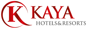 Kaya Holding logosu