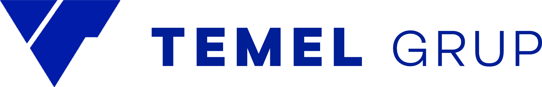 Temel Grup logosu