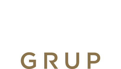 Vien Grup logosu